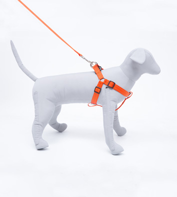 Nylon reflective wire Leash