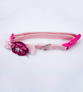 Dog Bow Leash